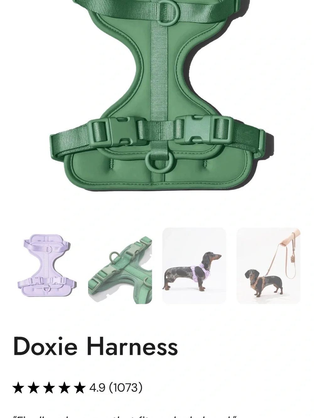 Doxie Warehouse Adjustable Green Dachshund Harness - Durable Nylon Pet Accessory